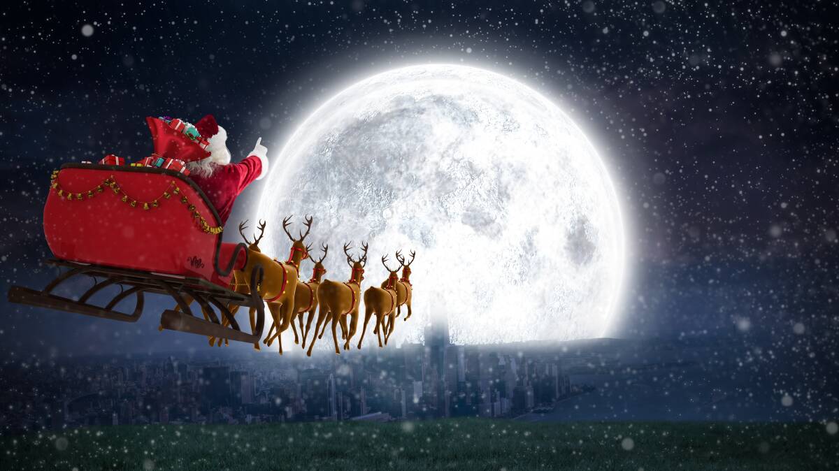 Designated driver: As leader of the pack, Rudolph shines the way ahead and takes over the driving once Santa has had one too many sherries.