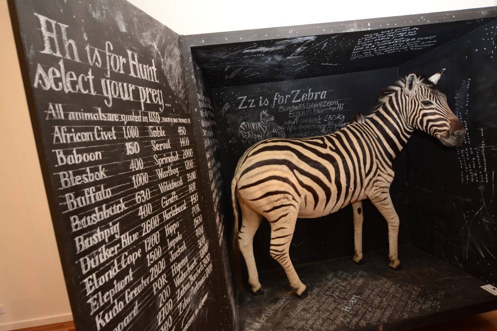 eBay find: This zebra was bought by Rod McRae from an American man who had killed the animal but sold it to raise money while going through a divorce.