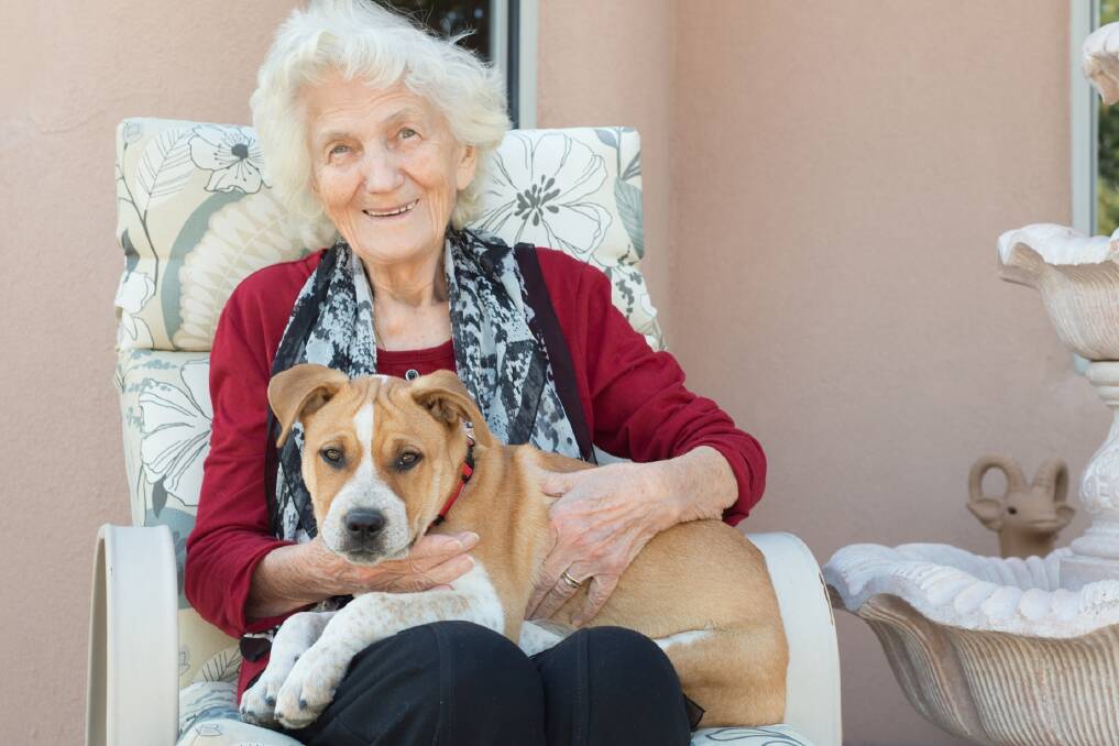 Animals play a huge role in helping the elderly live a happier, healthier life. Bishop Tyrell Place in Cundletown will celebrate “Bring Your Pet to Work Day" on Tuesday, September 26.