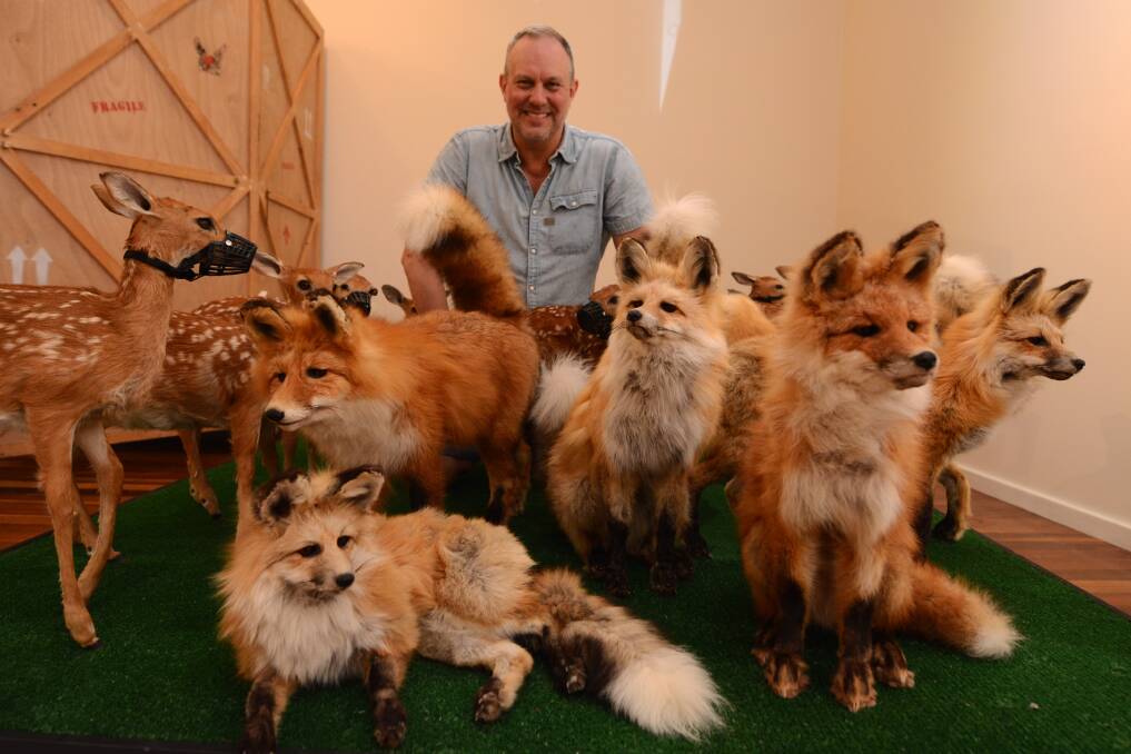 Operation Foxtrot: Rod McRae with his collection of foxes made with red fox skins, steel, high density foam, glass and plastic and ready for installation.
