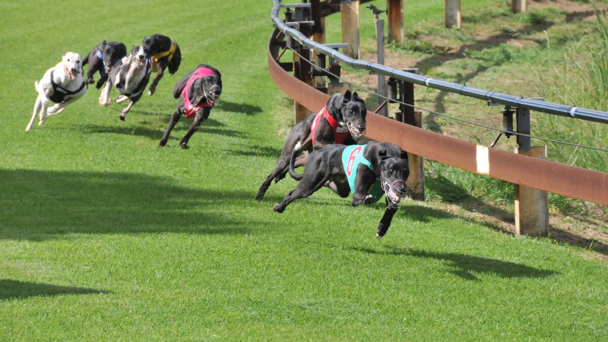 It’s the end: dog racing banned