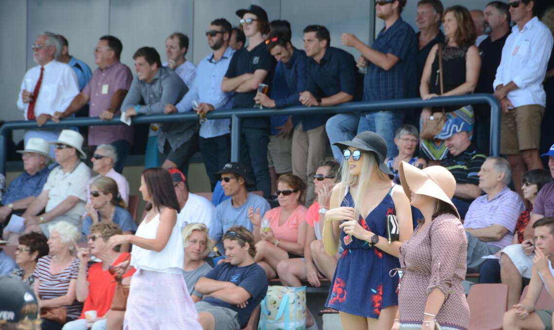A section of the record crowd at the recent Harrington Cup meeting at Bushland Drive. Taree-Wingham Race club officials are hoping for a similar turnout next Tuesday for the Wingham Beef Exports Cup.
