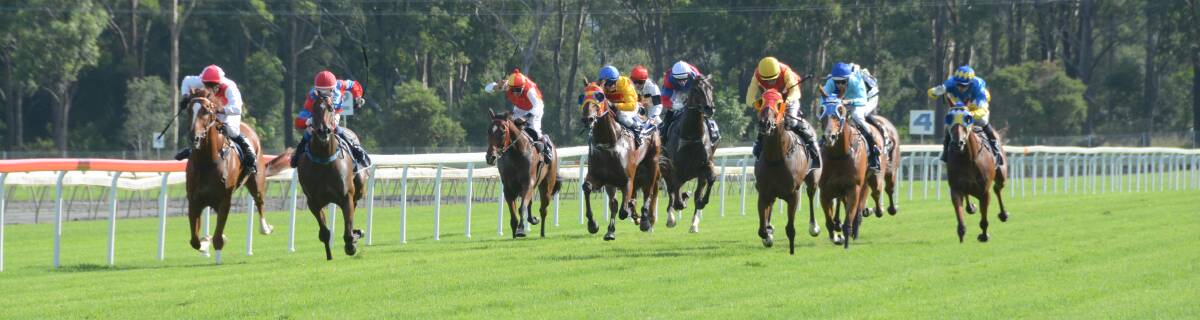 Heading for home: The field races up the straight in last year's Country Championship heat at Taree. Another Valley, trained at Taree by Bob Milligan, was the winner.