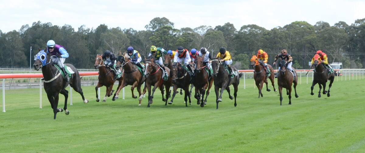 The field heads for home in the Mid Coast Bearing Maiden Plate at Taree this week. Happy ($11), trained by Allan Denham and ridden by Robert Thompson, won the event.