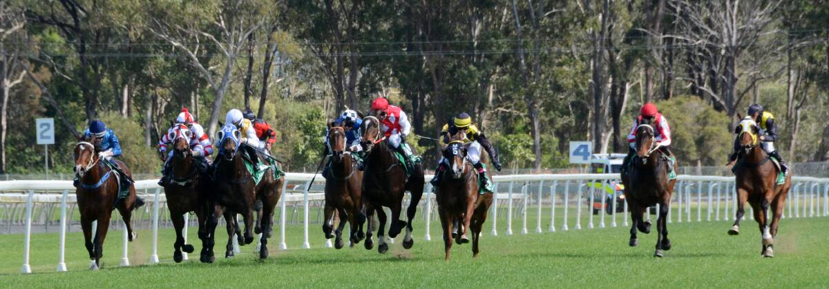 The field heads for home in the Congratulations Sam Murray Entires and Geldings Maiden Handicap at the Taree-Wingham races this week. Blake Spriggs won th erace on three-year-old gelding Invicta ($4.20), trained at Gosford by Ken Parker.