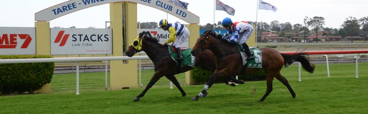 Chris O'Brien scores on the shortest price winner of the day, Unsinkable Same in the Harrington Cup Raceday - January 5 Maiden Handicap at Monday's Taree-Wingham races.