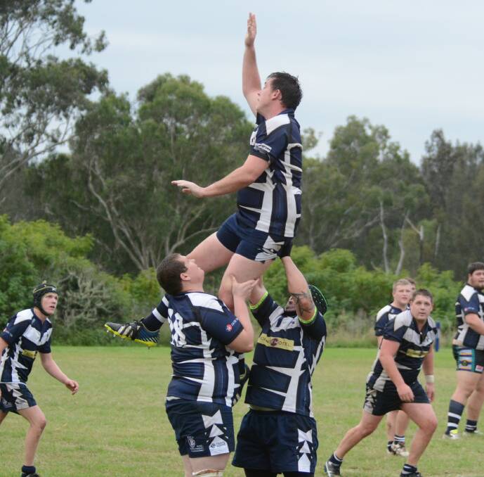 Manning Ratz forward fly high to win a lineout during a clash at Taree Rugby Park. The Ratz will be at home to Gloucester on Saturday.