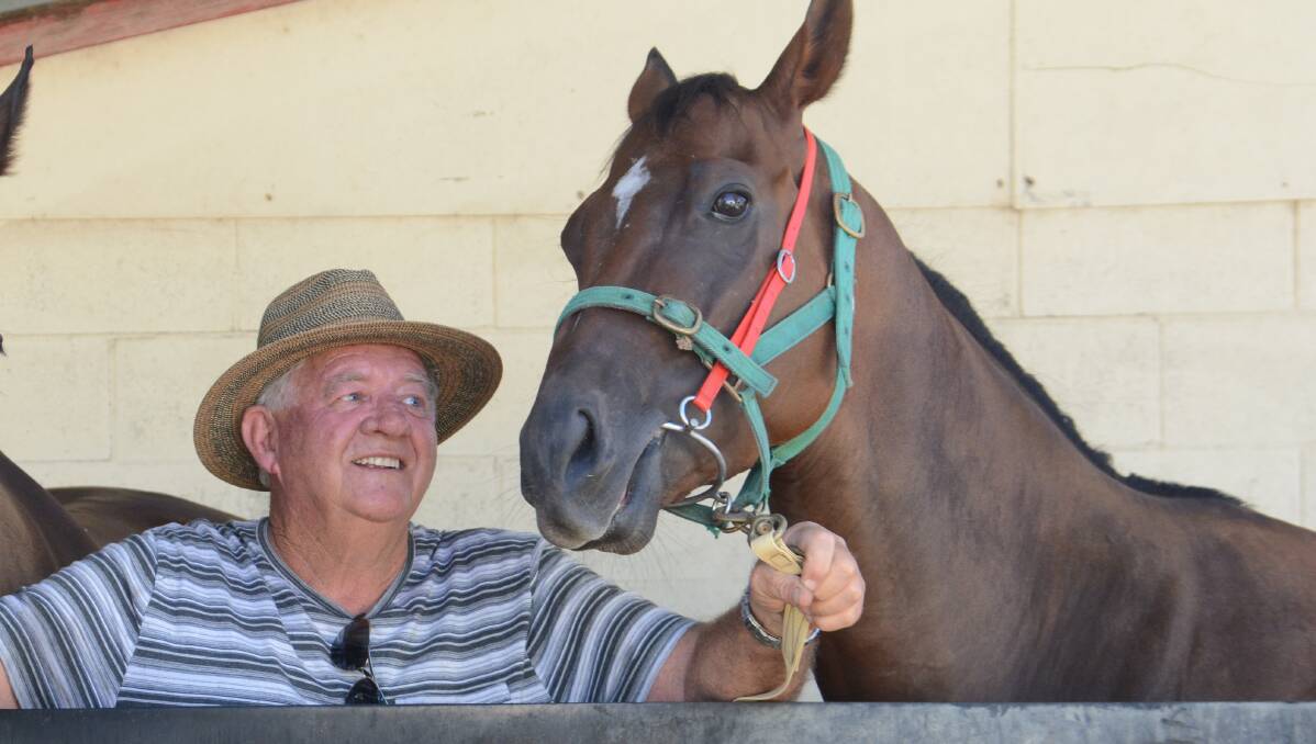 Trainer Cliff Bashford with Ever So Natural, one of the top contenders for today's Hopkins Livermore Cup at the Taree-Wingham races.