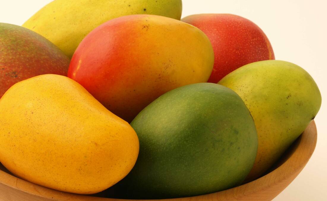 Mangoes - known as the king of fruit. However, growers are under siege from thieves in the Struggle Street area.