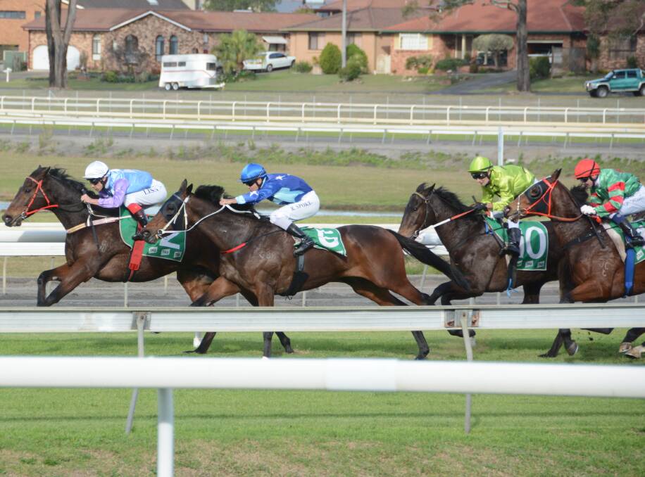 The field heads for home in the Taree Cup Prelude at the Bushland Drive track this week. Five-year-old gelding Chalcedony ($4.40), trained by Matthew Robinson and ridden by Ben Looker, won the event. 