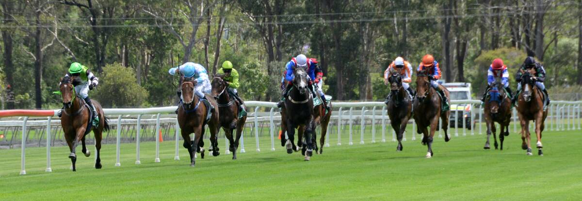 Prince Nevaux chases second successive win at Taree-Wingham races