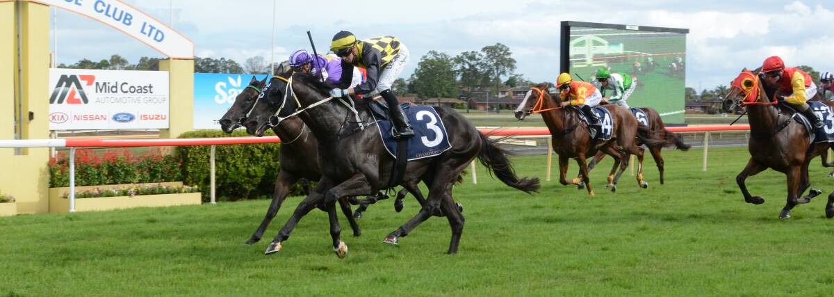 The finish of last year's Country Championship Qualifier raced at Taree. Sunday's race will be at Port Macquarie.