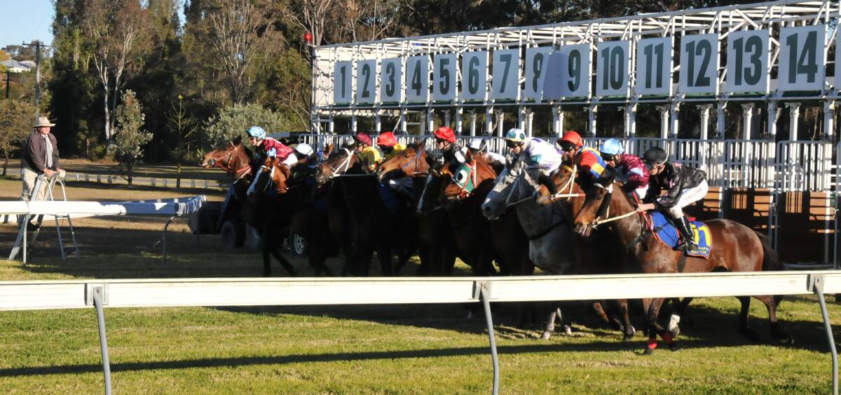 Provincial trainers have edge in Taree Prelude