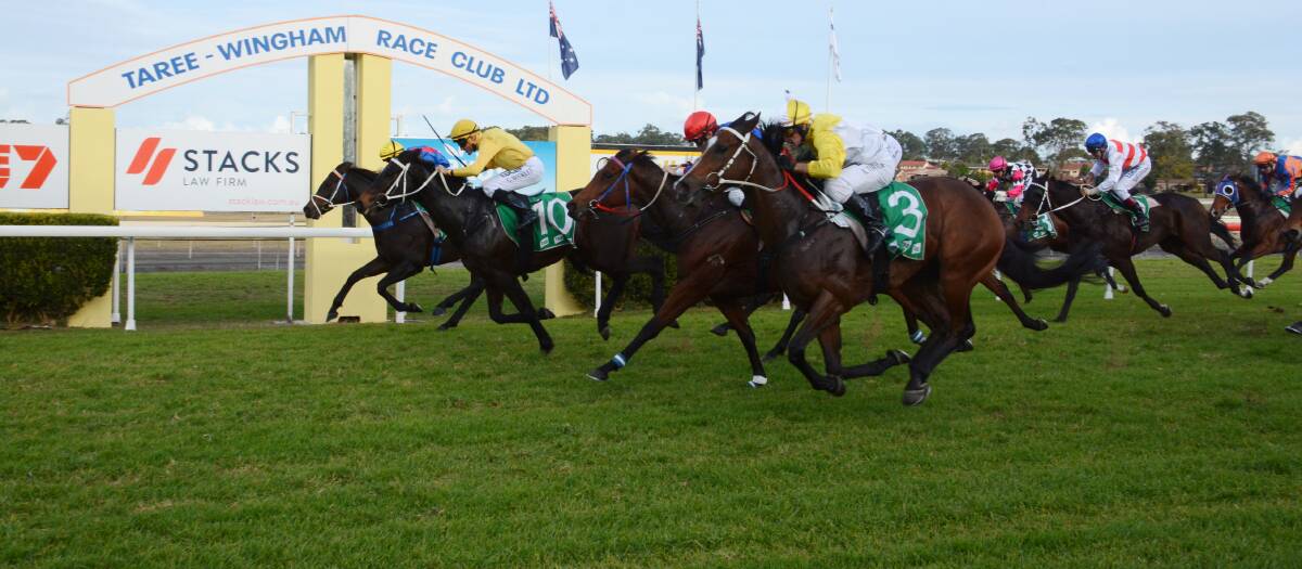 Who Is Game edges out Star of Legs to win last year's Wingham Cup. The gallopers clash again in today's race at Bushland Drive.