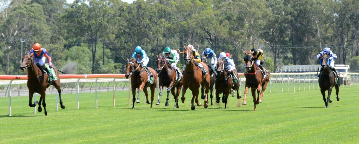 Apprentice jockey Chloe Baker clears out from the field on Lobban Dynamite in Country Championships at Taree February 26 Benchmark 59 Handicap at Taree this week. 