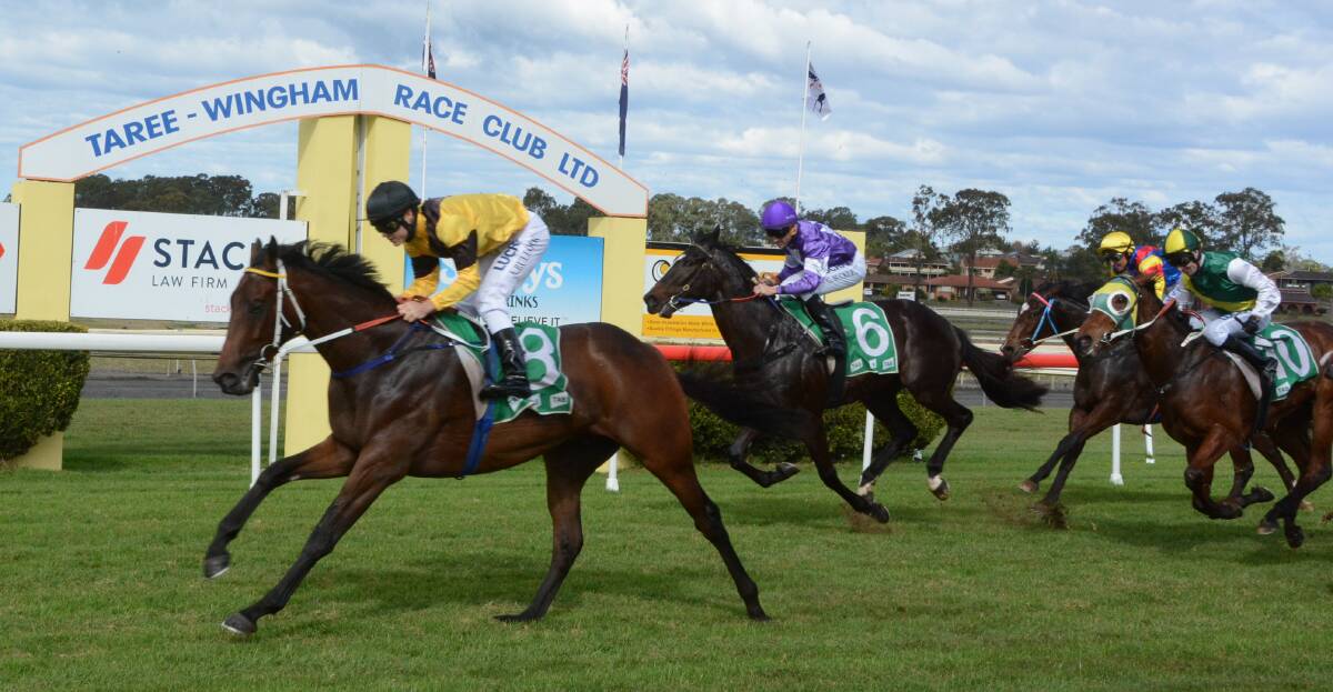 Jockey Aaron Bullock scores on Eyezoff in the Manning River Times 2-year-old Maiden Handicap at the Taree-Wingham races.