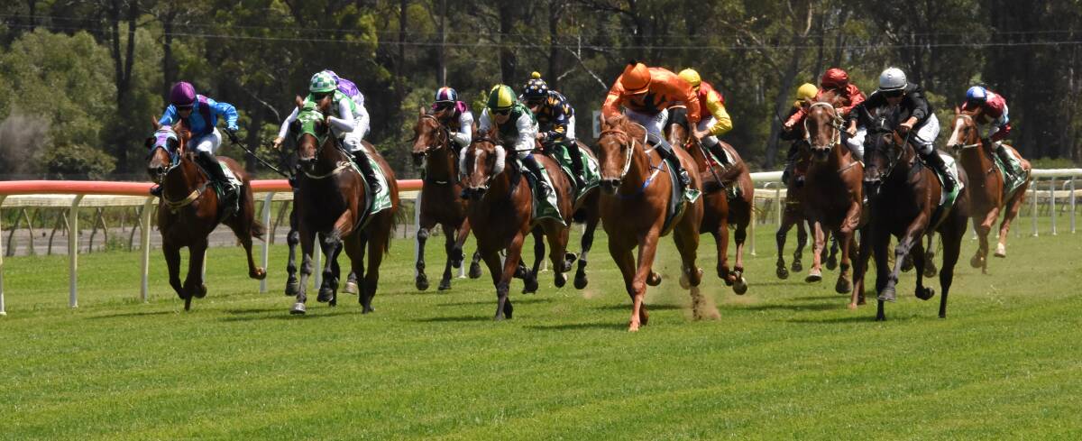 Trainer says smart Randiki will be hard to beat at Taree races