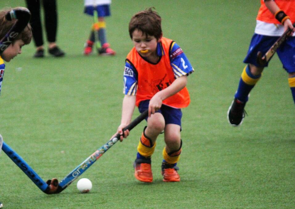 Jakey Clark battles for the ball for Tigers in the under seven hockey fixture.