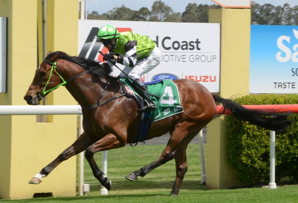 Newcastle jockey Andrew Gibbons scores on Serious Star ($3.50) in the Santa Comes Early at Taree Maiden Plate at Taree-Wingham's meeting at Bushland Drive this week.
