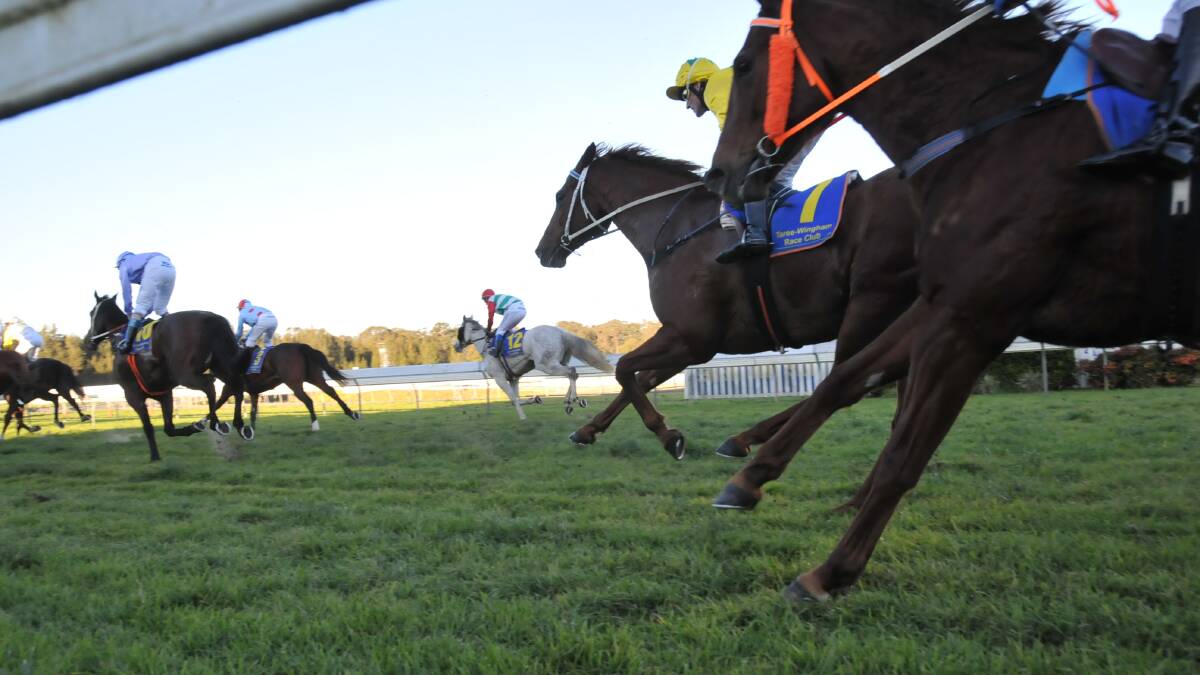 Bushland Drive Racecourse will be the venue for the two day Taree Cup Carnival starting on Friday. The 2000m Taree Gold Cup will be run on Sunday.
