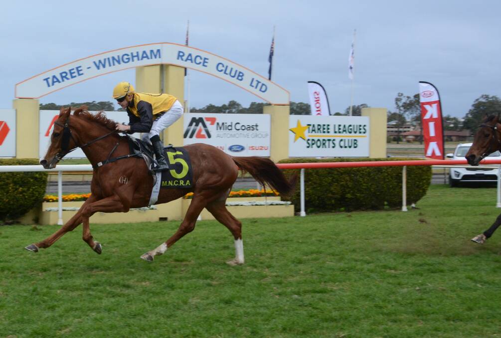 Jockey Travis Wolfgram steers Pirate Ben to a comfortable win in the $80,000 Stacks Law Firm Taree Gold Cup at the Bushland Drive Racecourse on Sunday. The winner started at the lucrative odds of 25-1.