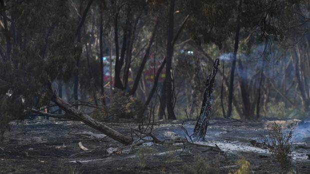 Burnt out land in Carrum Downs on Saturday. Photo: AAP
