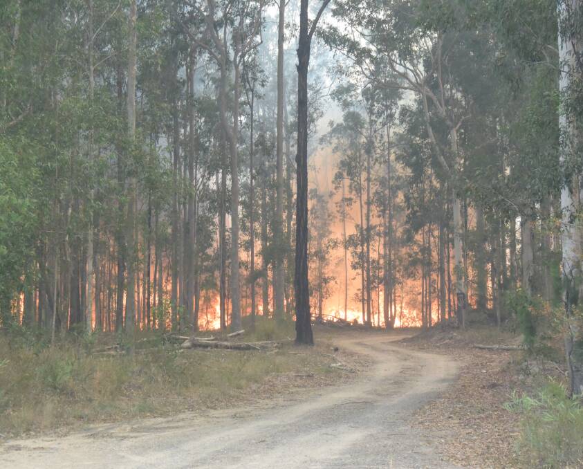 MOVING TARGETS: Road off Pacific Hwy at Twelve Mile Creek, south of Karuah, where fire ringed a fish farm carved out of the scrub. Rural fire service crews worked all weekend defending properties such as this. Pictures: Ian Kirkwood