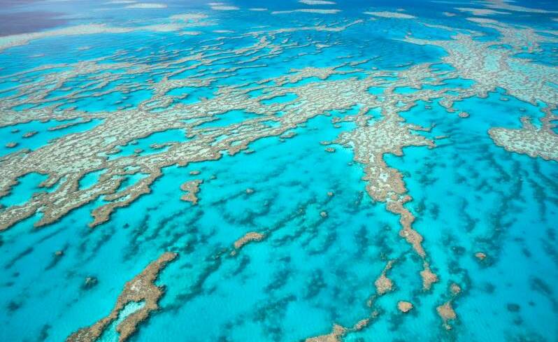 Save the reef: The Mid North Coast Stop Adani group will present a documentary at Black Head on May 3. Pic: supplied