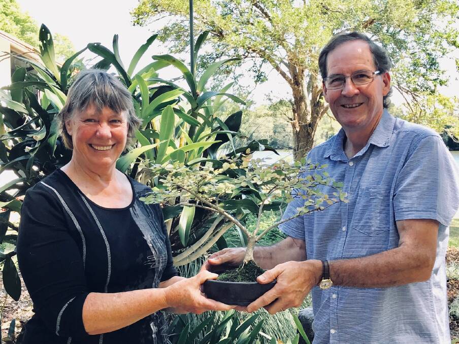 New president Denise Brydon receiving a bonsai tree from outgoing president Peter Langdown at the recent annual meeting of the Taree Pun-Jing Bonsai and Suiseki Club.