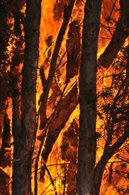 The research is being conducted by the University of Wollongong and the NSW Rural Fire Service, with the objective of improving community bush fire safety