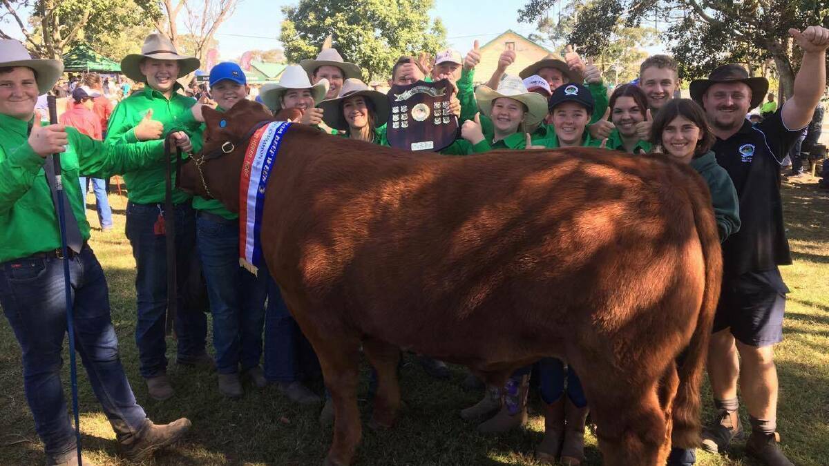 Wingham Beef Week 2017 winners: Chatham High School took out the title of Grand Champion Led Steer with 'Ratatouille' in May. Photo: Chatham High School student Belicia Watson.