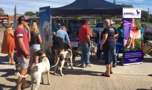 Taree RSPCA and Manning Great Lakes Animal Welfare League combined to present a free microchipping day for pets.