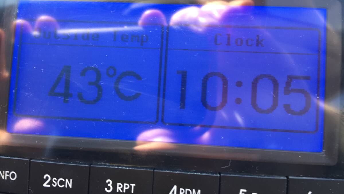 In the car in a Taree car park this morning, the temperature had reached 43 degrees.
