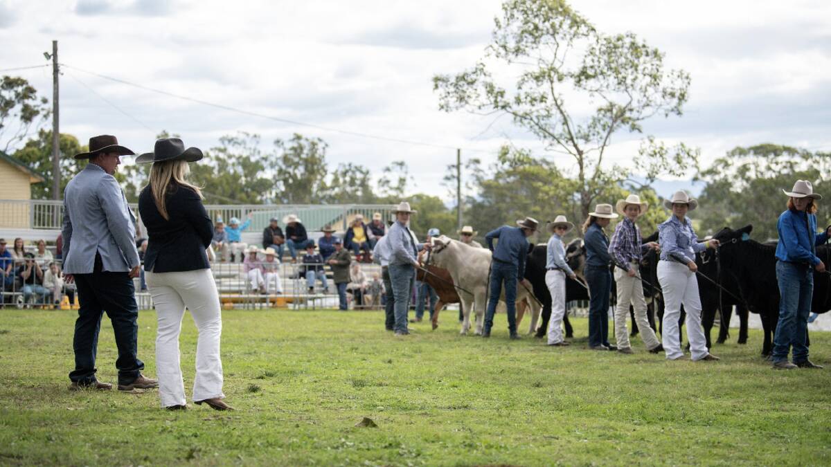 Wingham Beef Week brings together school students, commercial and hobby beef producers, young beef cattle enthusiasts and beef industry experts from all sectors of the production process, for a week of education, competition and interaction. Picture supplied