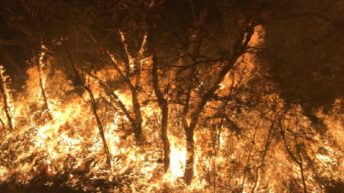 Readers, Kellie Pratten, Alicia Anne, Adam Gatehouse and others, have shared their photographs from the Nabiac fire. 