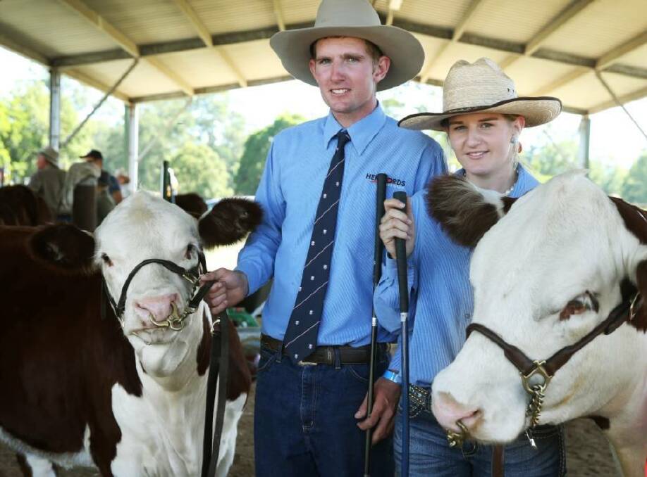 CHAMPIONS: Jamie and Jessica Grosser, Santarna Poll Hereford Stud, Nelsons Plains,  with some of their  stud cattle they have exhibited at local shows.