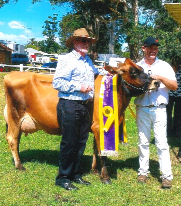 BEST EXHIBIT: Supreme Dairy Cow and Supreme Best Uddered at the Wauchope Show Tarcoola VB Tulip owned by the Coombes family, Long Flat. Tupil was led by Stephen Coombes with the ribbon being presented by Mark Livermore, Tuscany Cheese Wauchope.