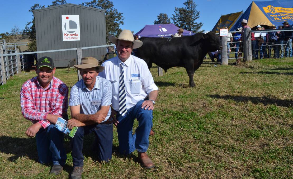 TOP PRICE: Knowla Lancaster L3, is a 17 month old son of EF Complement, purchased by Lyncote Holdings from Merriwa for $21,000, pictured with Lyncote Holdings manager Elliot McKinnon, James Laurie and auctioneer Paul Dooley.