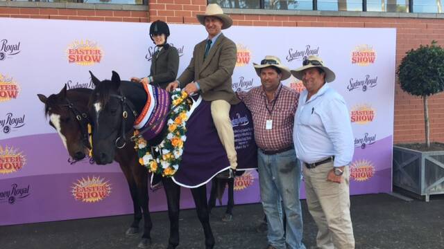CHAMPION: Jessica Moore, Barry Moore, Roger Moore and Tony Moore at the Sydney Royal Easter Show. Barry was riding his award winning stallion Starwaltz Cool Justice.