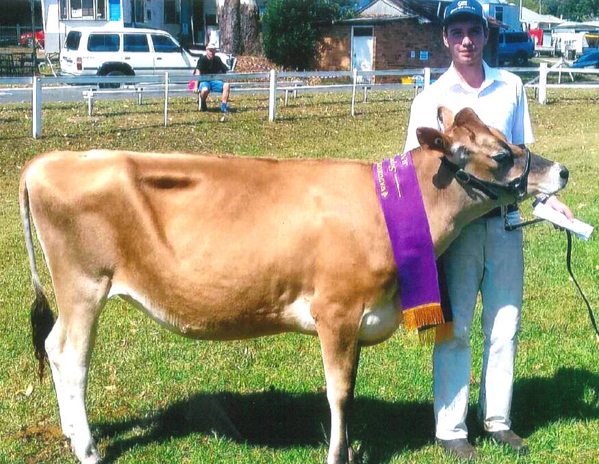 SASHED: Hastings On Time Treasure was the supreme juvenile heifer at Wauchope Show owned by the Lindsay family, Huntingdon and led by Cameron Lindsay. 
