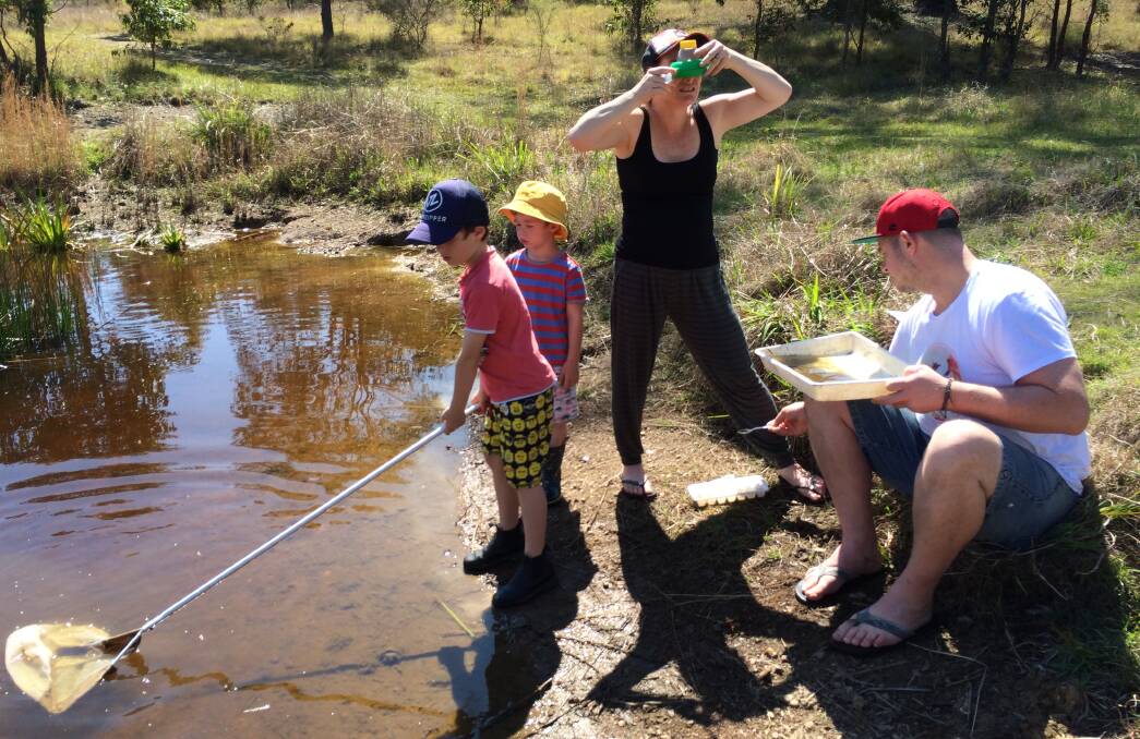 Searching for creatures: Children enjoy adventure time with their parents while looking for bugs in the pond.
