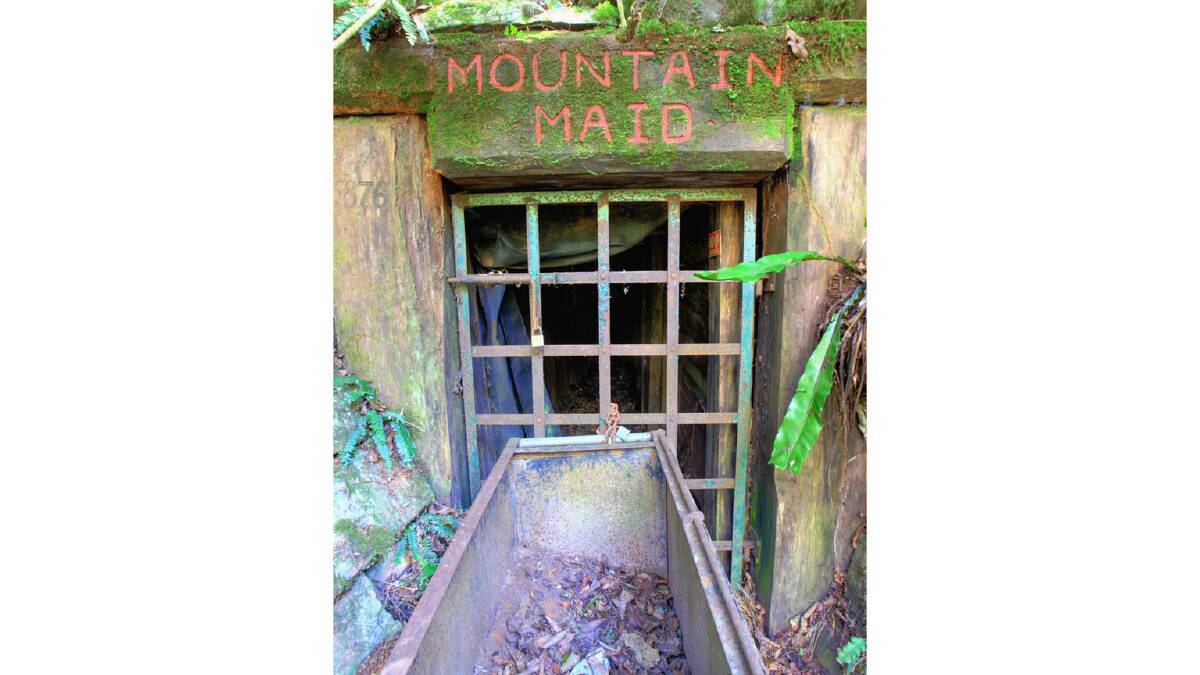 The Mountain Maid gold mine at Copeland Tops State Conservation Area. Photo courtesy of National Parks and Wildlife Service