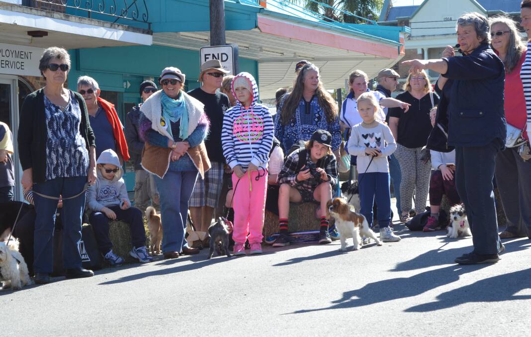 What a show: Lots of dog lovers from around the region brought their best friends to town ready to parade with them in the Novelty Dog Show.