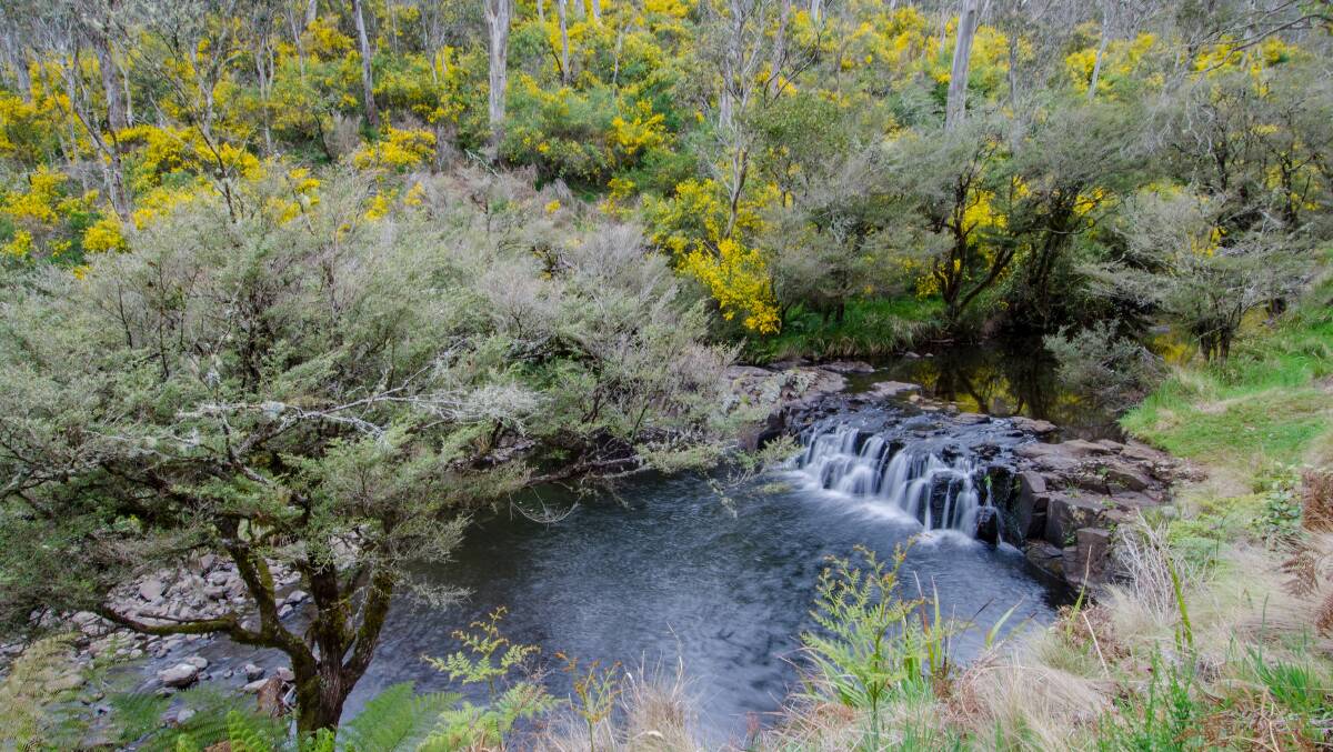 Barrington Tops National Park has a connection to several Aboriginal groups. Photo courtesy of Office of Environment and Heritage