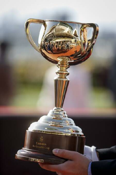 The Melbourne Cup will be on show at this weekend's Tuncurry-Forster Races. 