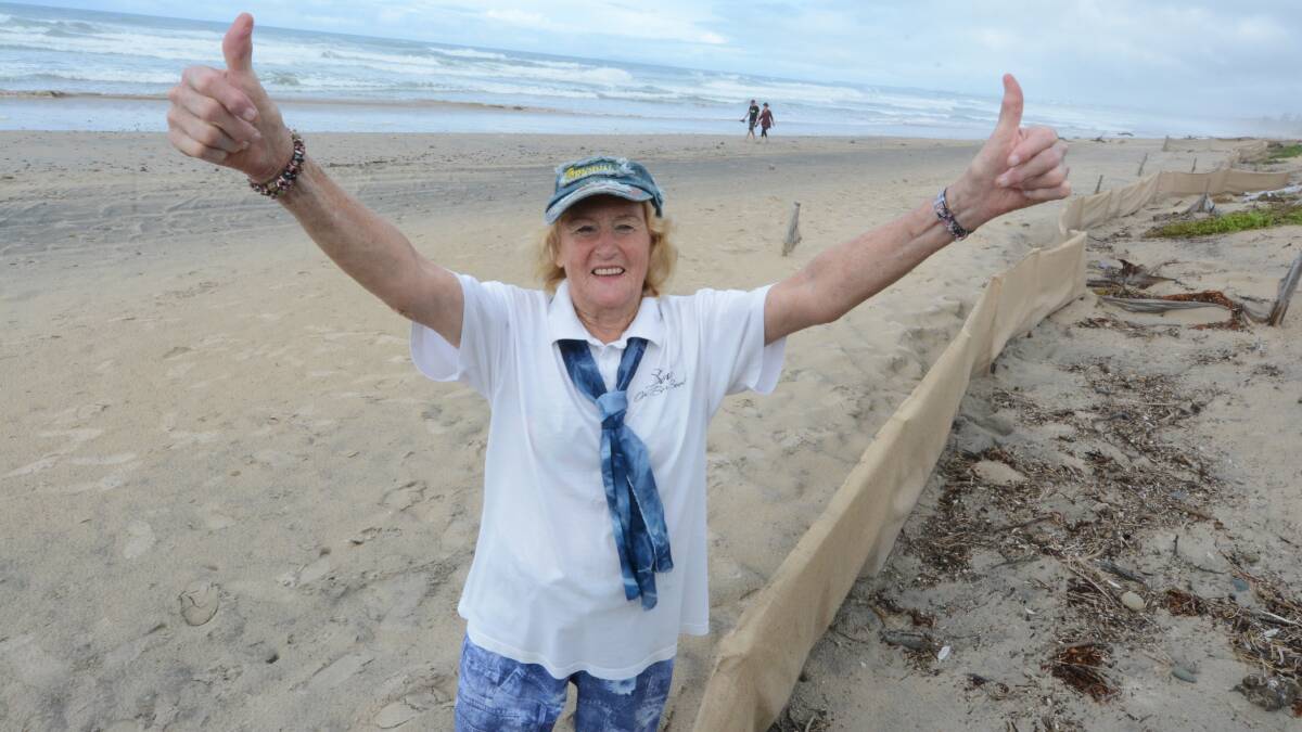 Happy days: President of the Old Bar Replenishment Group Elaine Pearce is joyous over the new dune fencing along Old Bar Beach. Photo: Scott Calvin. 