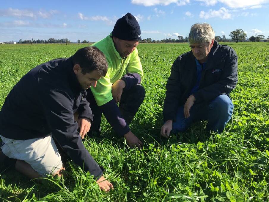 Dairy Australia extension co-ordinator, Josh Hack, farmer James Neal and Hunter Local Land Service senior land services officer, Peter Beale inspect the trial results earlier this year. 