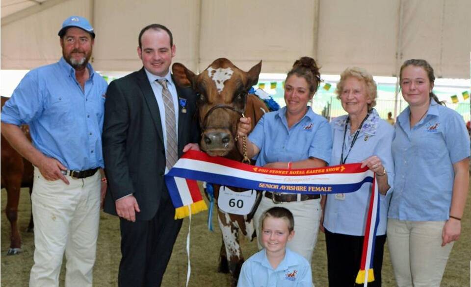 Senior champion: Mick Eagles, judge Campbell McOuat from Canada, Ayrshire cow Boldview Modem Pastel, Janine Eagles, Lexie Mayo, Jessica Eagles and Tyler Eagles. 