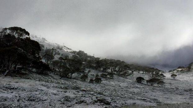 Perisher Resort uploaded a photo on Facebook showing snow on the mountain. Photo: Supplied
