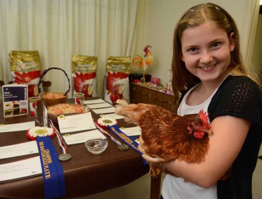 Katie Tisdell, pictured with one of her award-winning Hy-line fowls. Her recent win at the National Poultry Championships comes after her success at the last four Sydney Royal Easter Shows. 